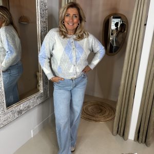 Vest Ruit 1972 Asya Licht Blauw/Grijs via villaggio