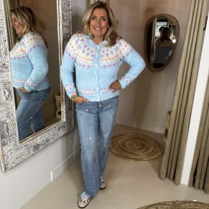 Trui Astera 2001 Blauw Via Villaggio